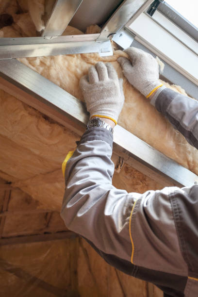 Best Specialized Insulation Services in Binghamton University, NY