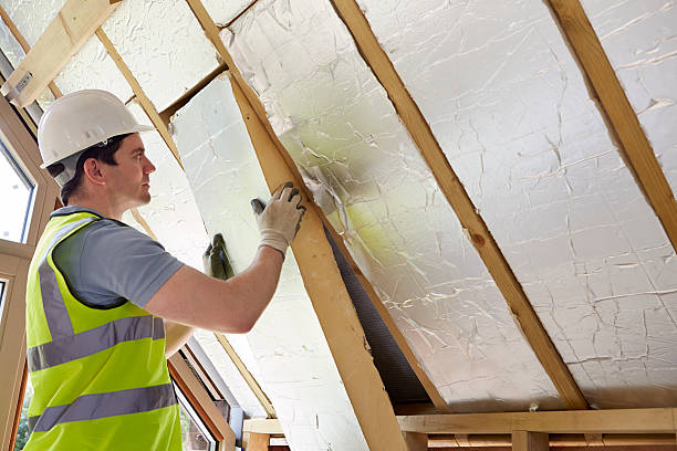 Best Cellulose Insulation in Binghamton University, NY
