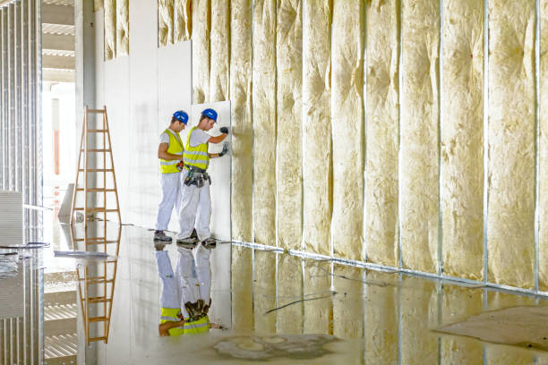 Best Insulation for Specific Applications in Binghamton University, NY